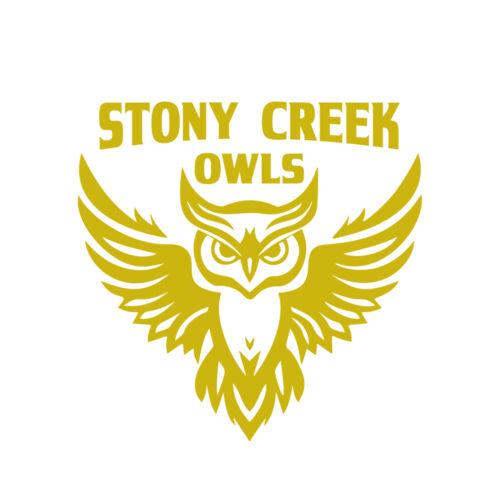 School Owls 04 Thumbnail