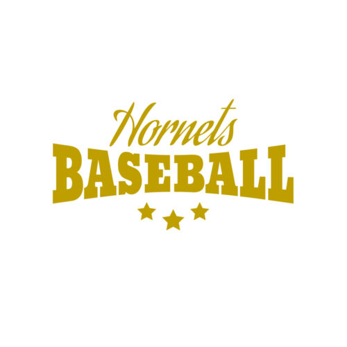 Baseball 017 Thumbnail