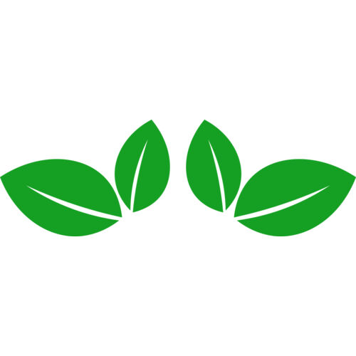 11 Leaves Thumbnail