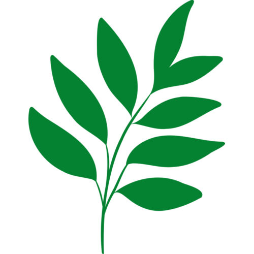 17 Leaves Thumbnail