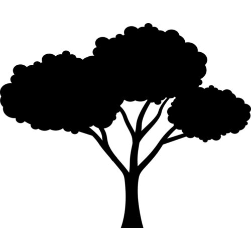 40 Tree Thumbnail