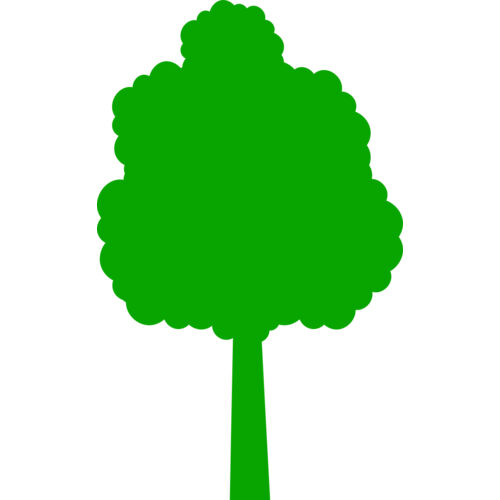 41 Tree Thumbnail