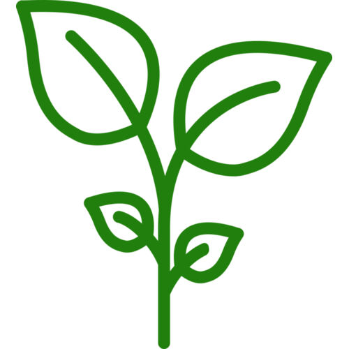 Plant Thumbnail