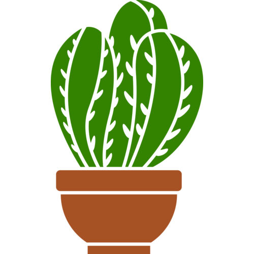 Cactus 3 Thumbnail