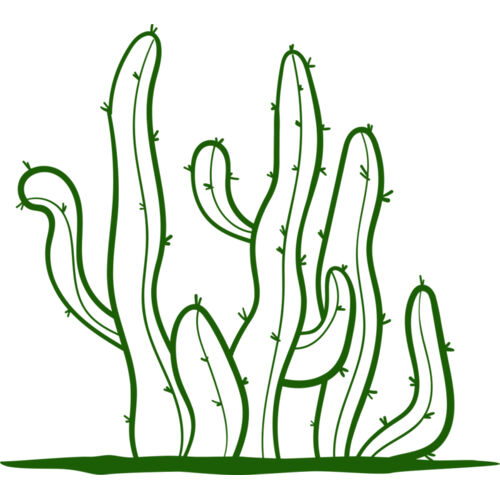 Cactus 2 Thumbnail