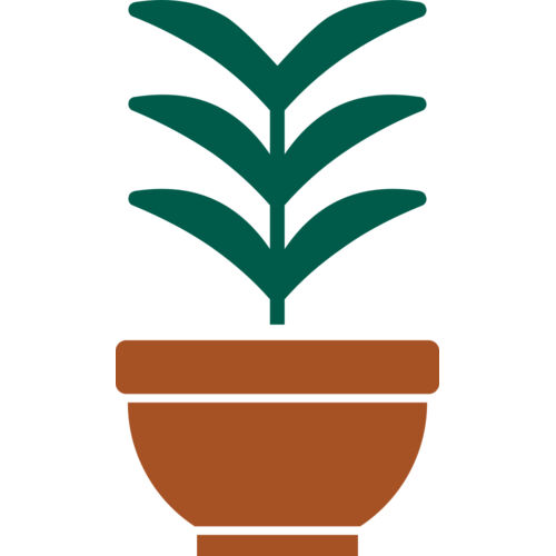 Plant 2 Thumbnail