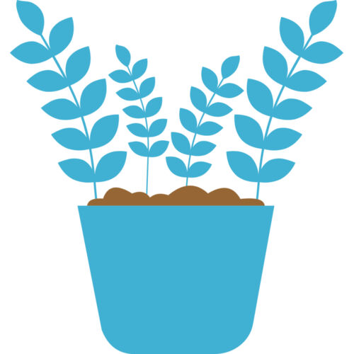 Plant 5 Thumbnail