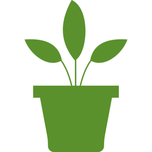 Plant 2 Thumbnail