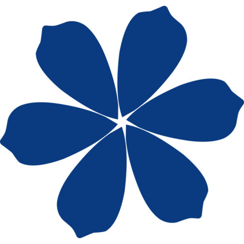 Flower 9 Thumbnail