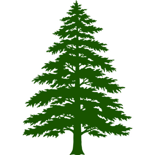 Tree Plant 3 Thumbnail