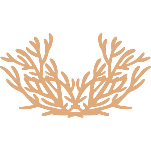 Sea Plants Thumbnail