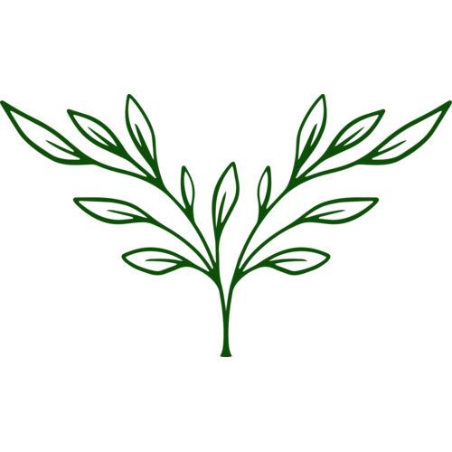 Plants 3 Thumbnail