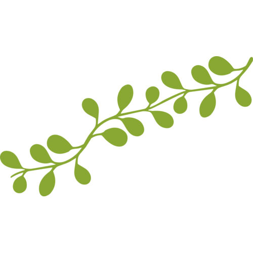 Leaves 13 Thumbnail
