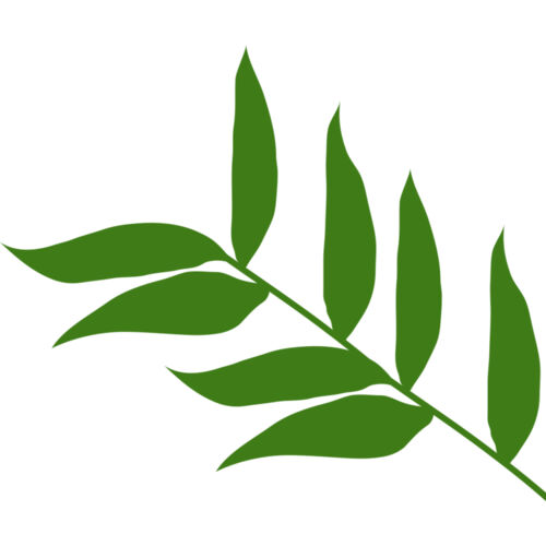 Leaves 5 Thumbnail