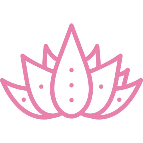 Lotus 3 Thumbnail