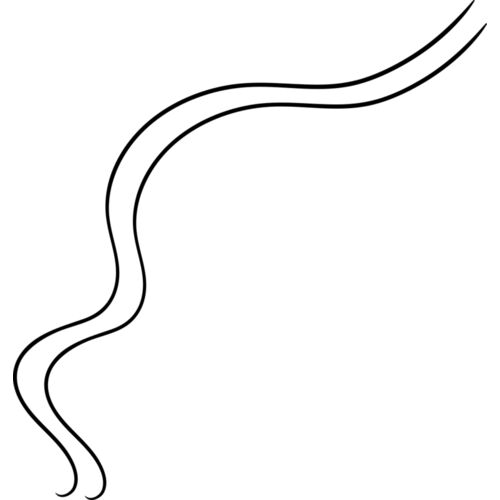 Abstract Curved Line Thumbnail