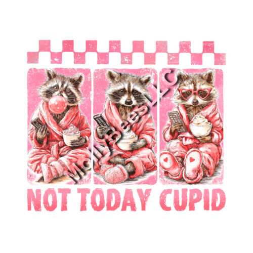 Not Today Cupid Raccoon Thumbnail