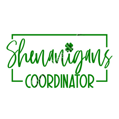 shenanigans coordinator Thumbnail