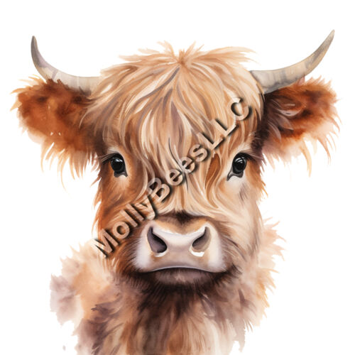 Highland Cow Thumbnail