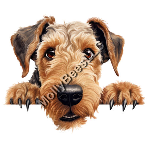 Airedale Terrier  Thumbnail