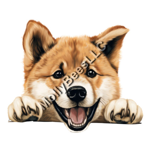 Akita  Thumbnail