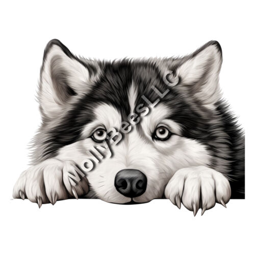 Alaskan Malamute Thumbnail