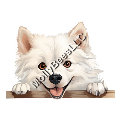 American Eskimo Thumbnail