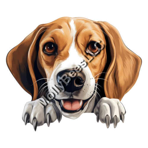 American Foxhound Thumbnail