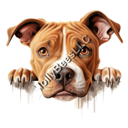 American Pit Bull Terrier Thumbnail