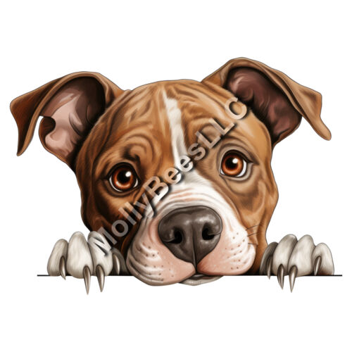 American Staffordshire Terrier Thumbnail