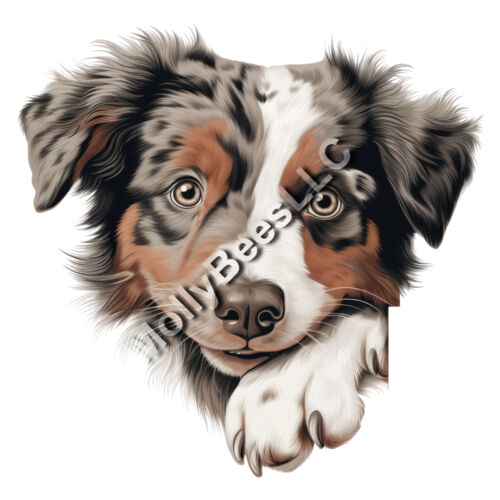 Australian Shepherd Thumbnail