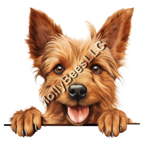 Australian Terrier Thumbnail