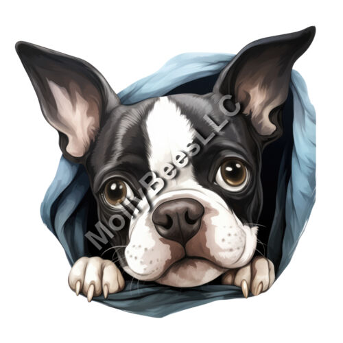 Boston Terrier Thumbnail