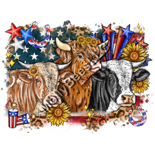 American Cows Thumbnail