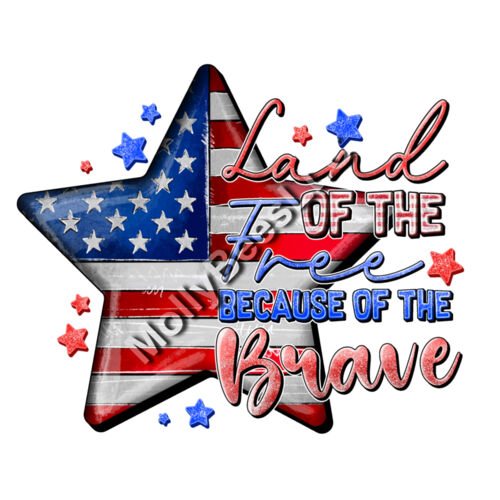 Land of the Free Because of the Brave Thumbnail
