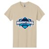 Heavy Cotton 100% Cotton T Shirt Thumbnail