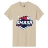 Heavy Cotton 100% Cotton T Shirt Thumbnail