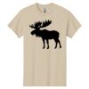 Heavy Cotton 100% Cotton T Shirt Thumbnail