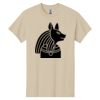 Heavy Cotton 100% Cotton T Shirt Thumbnail