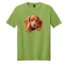 Softstyle ® T Shirt Thumbnail