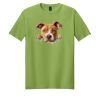 Softstyle ® T Shirt Thumbnail
