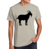 Unisex CVC Tee Thumbnail