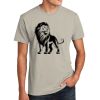 Unisex CVC Tee Thumbnail