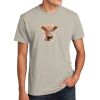 Unisex CVC Tee Thumbnail