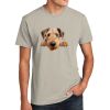 Unisex CVC Tee Thumbnail