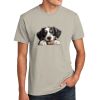 Unisex CVC Tee Thumbnail
