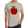 Unisex CVC Tee Thumbnail